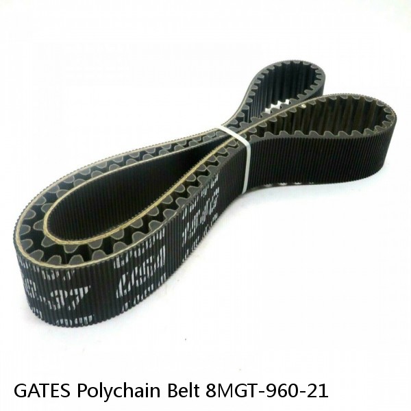 GATES Polychain Belt 8MGT-960-21