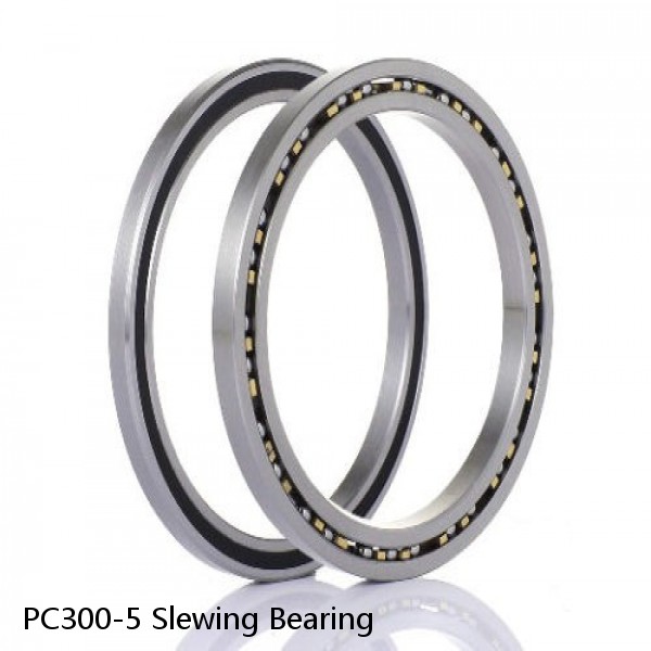 PC300-5 Slewing Bearing