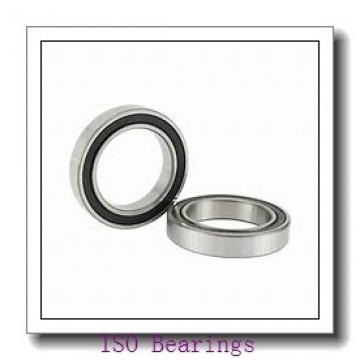 ISO NX 10 ISO Bearing