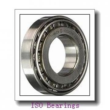 ISO K15X20X17 ISO Bearing