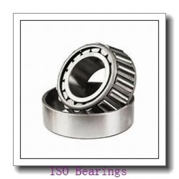 ISO 3213-2RS ISO Bearing