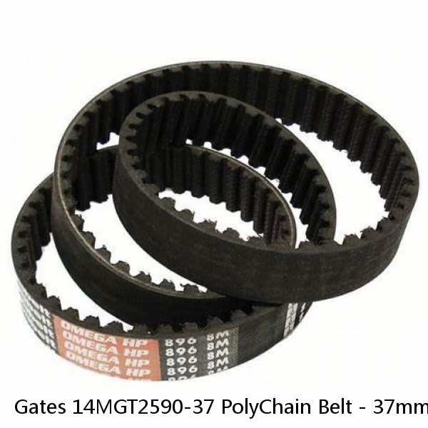 Gates 14MGT2590-37 PolyChain Belt - 37mm W - 14mm Pitch- 185 Teeth #1 small image