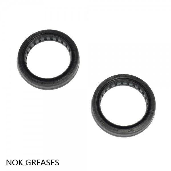 GREASES NOK OIL SEAL #1 small image