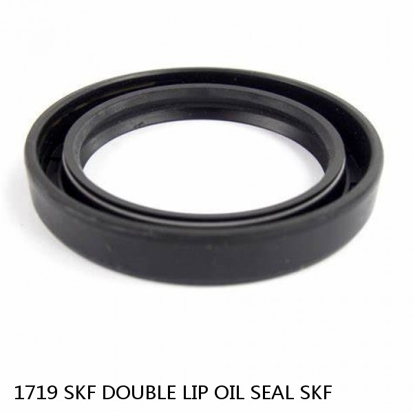 1719 SKF DOUBLE LIP OIL SEAL SKF #1 small image