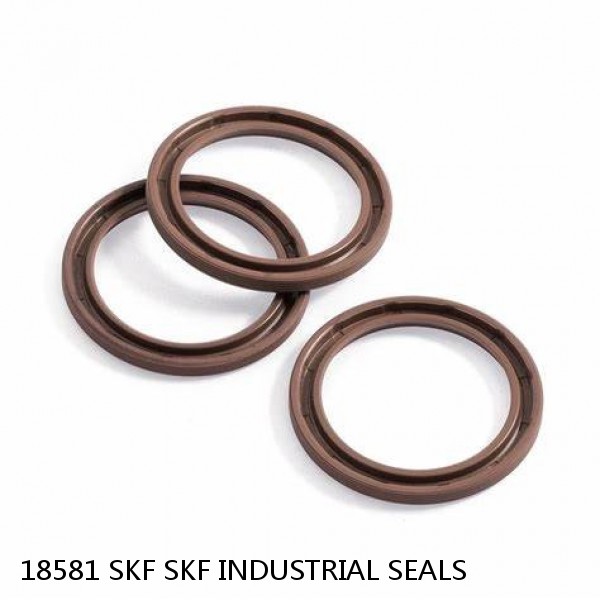 18581 SKF SKF INDUSTRIAL SEALS #1 small image