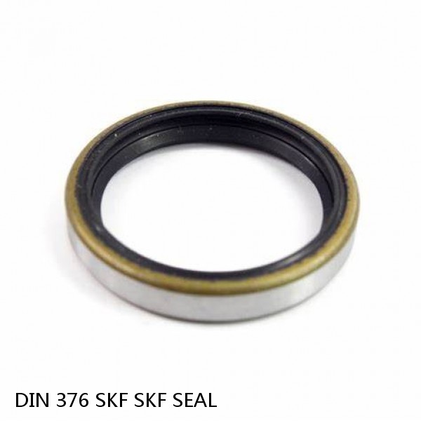 DIN 376 SKF SKF SEAL #1 small image