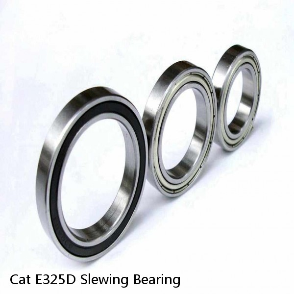 Cat E325D Slewing Bearing