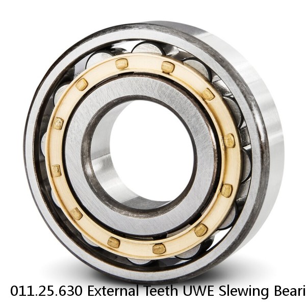 011.25.630 External Teeth UWE Slewing Bearing/slewing Ring #1 small image