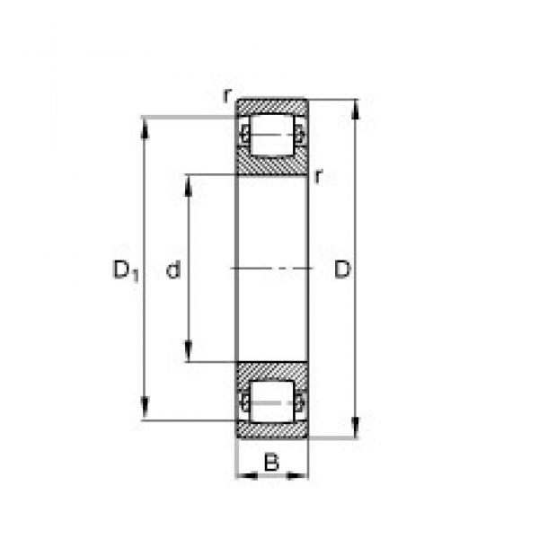 25 mm x 52 mm x 15 mm  25 mm x 52 mm x 15 mm  FAG 20205-TVP FAG Bearing #1 image