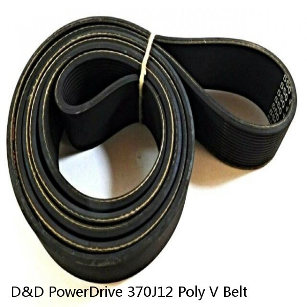 D&D PowerDrive 370J12 Poly V Belt #1 image