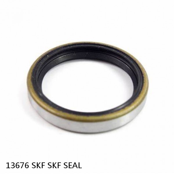 13676 SKF SKF SEAL #1 image