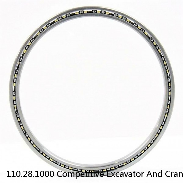 110.28.1000 Competitive Excavator And Crane Slewing Bearing #1 image