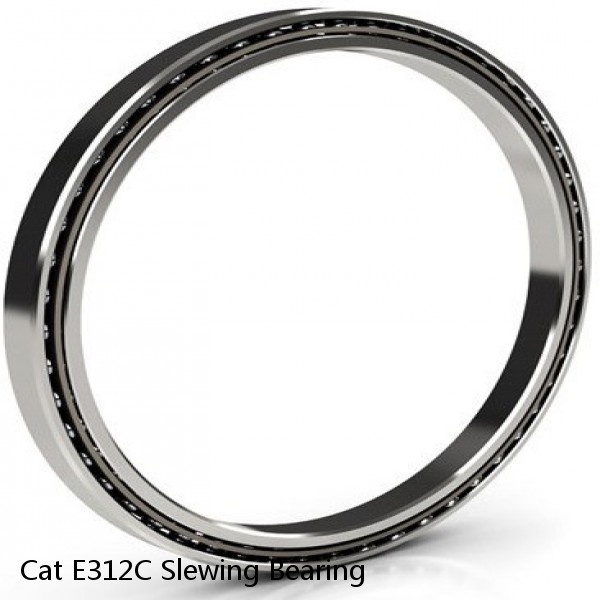 Cat E312C Slewing Bearing #1 image
