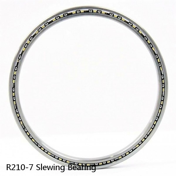 R210-7 Slewing Bearing #1 image