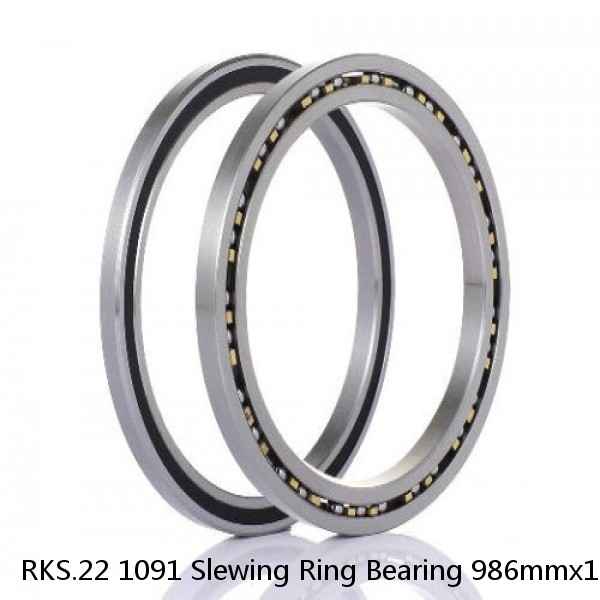 RKS.22 1091 Slewing Ring Bearing 986mmx1198mmx56mm #1 image