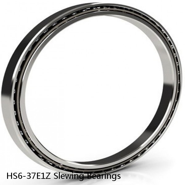 HS6-37E1Z Slewing Bearings #1 image