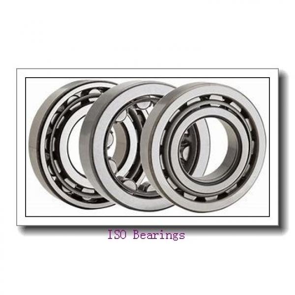 ISO HK1010 ISO Bearing #2 image