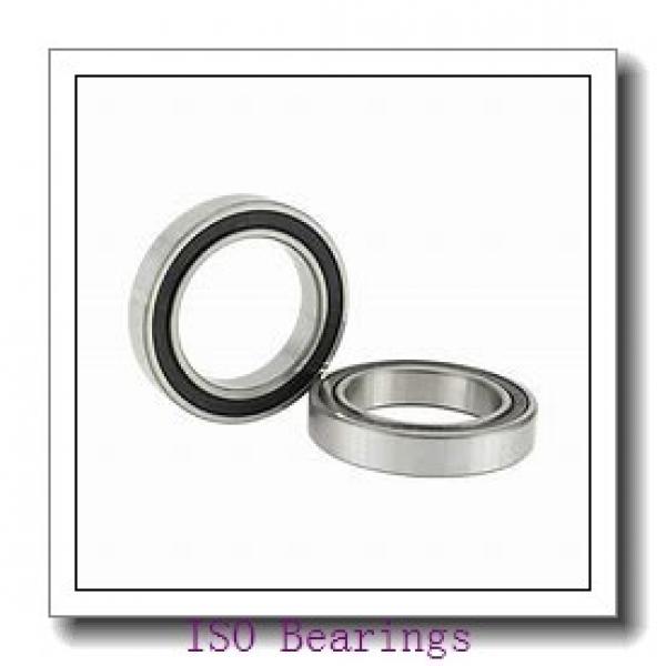 ISO 7005 BDB ISO Bearing #2 image