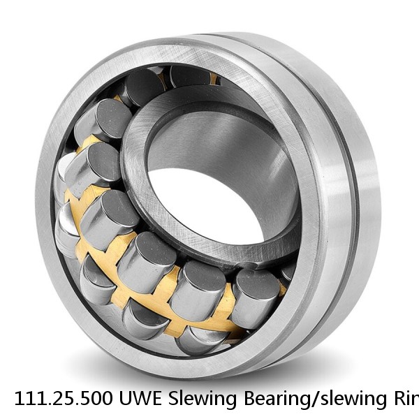 111.25.500 UWE Slewing Bearing/slewing Ring #1 image