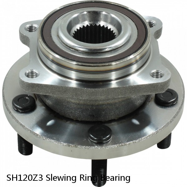 SH120Z3 Slewing Ring Bearing #1 image